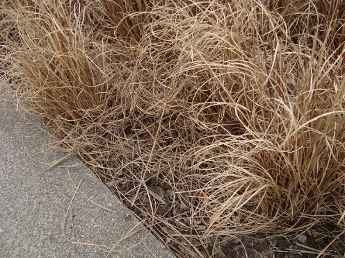 Après Allée après