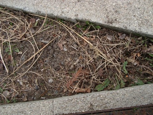 Après Mégots après